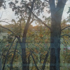 Electribe SpeedHouse Klatsche - Chuck MOrriS