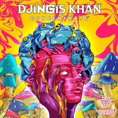 DJingis Khan - Concentrate