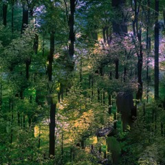 [remix] mental - idkwts