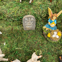 Dead to Me (Kali Uchis Cover)