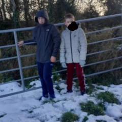 donnay socks n md rocks