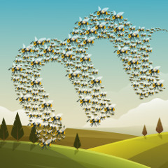 Swarm