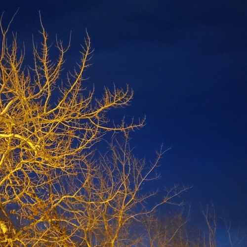 Trust Issues (rough)