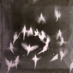 SOMEBODY LOVES ME (NICK MIX)