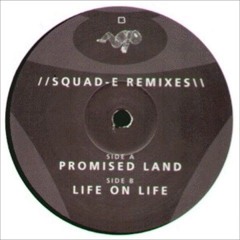 Squad E- Promised Land [Take Notes Bootleg]