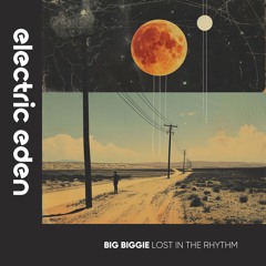 Big Biggie - Lost in the Rhythm [Electric Eden Records]