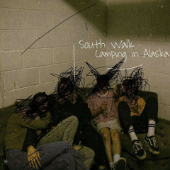 Camping in Alaska - southwalk