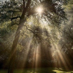 @@Bleedingteen - Light [@MetaxViolet](Bleedingteen Exclusive)