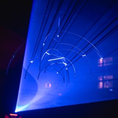 CICADA ENSEMBLE B2B PSEUDO | NO PUBLIC PURPOSE | 2nd MAY, 2025