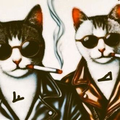 Sneakin Into Your House Sounds Like