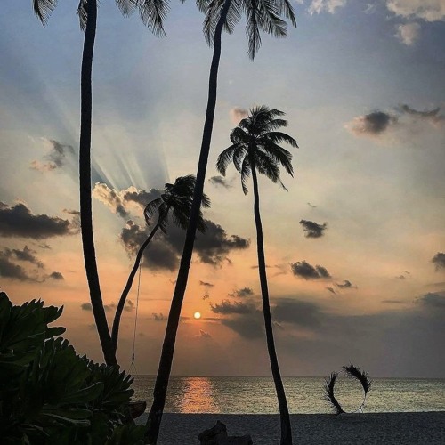 waitingforu (memory lane vol 6)