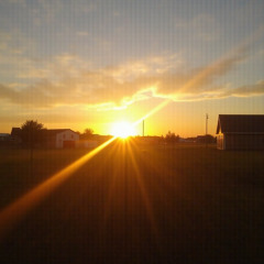 Sunrise Serenade (Blessed to Be Alive)