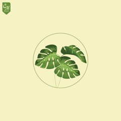 Pointy Features & coldbrew - Ukiyo