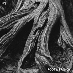 Root & Branch