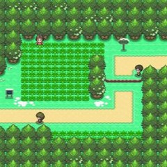 Pokémon D/P - Route 201