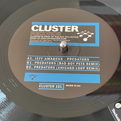 Cluster 101: "Bad Boy" Pete remix of  Predators by Jeff Amadeus