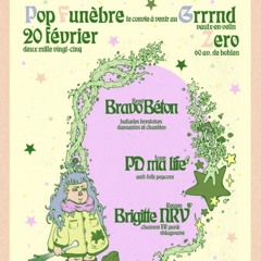 Concert Brigitte NRV gz 20/02