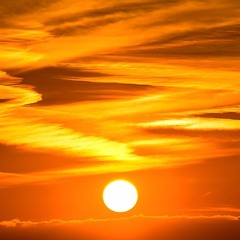 Your sun Will Rise Again