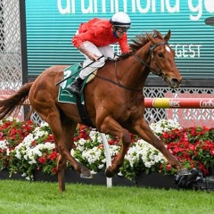 All Star Mile Day Punting Preview