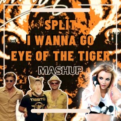 Eye Of The Tiger X Split X I Wanna Go MASHUP(Survivor,Tiesto,The Chainsmokers,Britney Spears,Romwey)