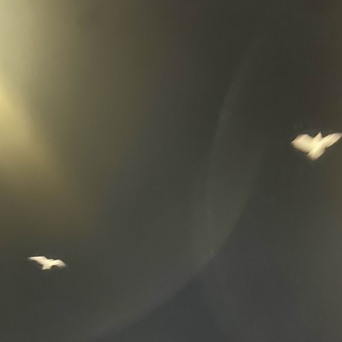 knife in my chest (where does your heart lie?)