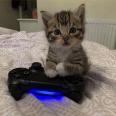 dash (ft.steorra) [demo]