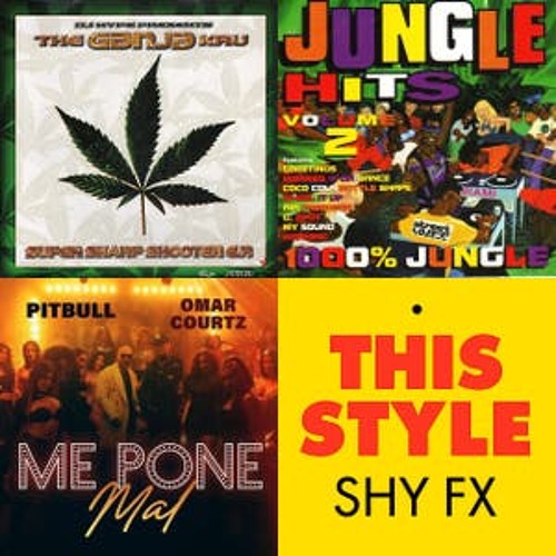 Chapt 1 - JUNGLE AFRO REGGAE