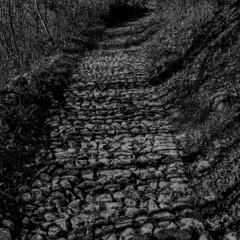 SALQIU - Memória Lusitana