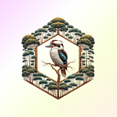 Kookaburra
