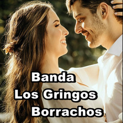 TE QUIERO CERCA DE MI -  Banda Los Gringos Borrachos