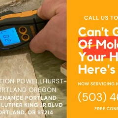 Mold Remediation Powellhurst-Gilbert Portland Oregon - Pure Maintenance Portland - 503-461-1006