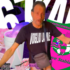 VOGLIO LA MILF (VLM)