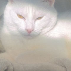 love is boring and not the same when not around around you