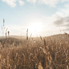 Finding Grace