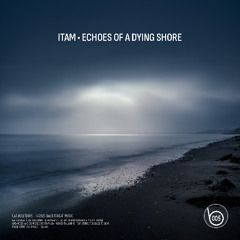 Echoes of a Dying Shore