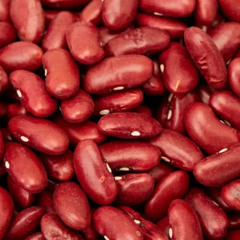 Sparta Legume Base