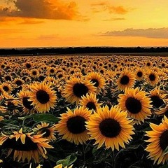 Rescue Me (Stuck With You)