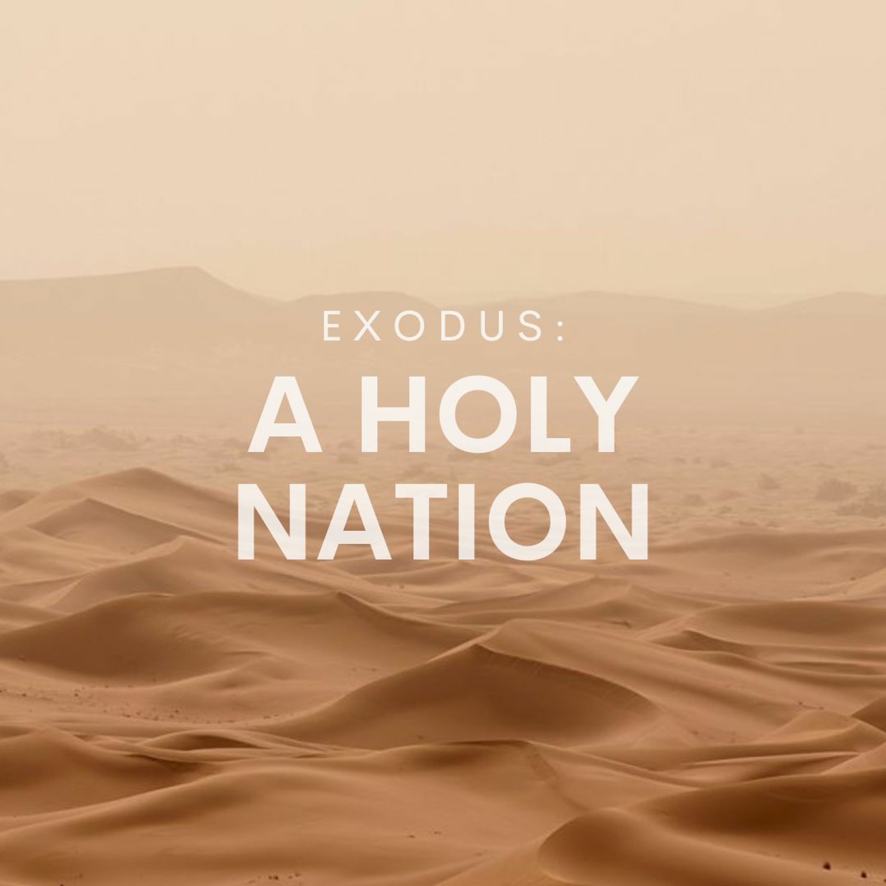 A Holy Nation - Alex Kim episode artwork