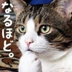 slender (scarlett & pitchweavr)