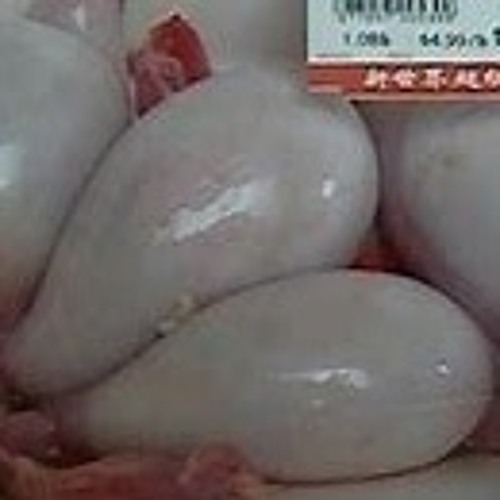 PUKED ON MY CASHMERE CARPET (feat. LIL CHEWIE)