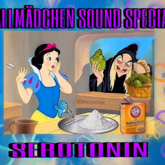 KRAWALLMÄDCHEN SOUND SPECIAL-MIX