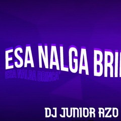 97 - ESA NALGA BRINCA - TIK TOK - DJ RAULITO FT DJ JUNIOR AZO - NOVIEMBRE 2K20