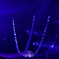 HolyAtlantis 23.08.25