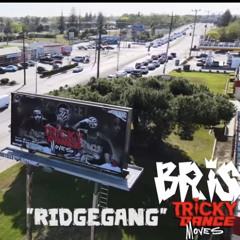 ridgegang - bris