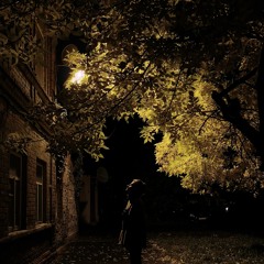 Spirit Of The Night