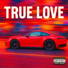 Van Velzen - True Love (Original Mix)