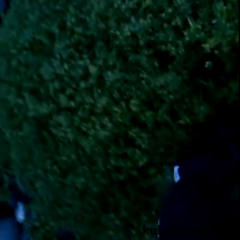 Kuhfresser - das Lied das Schweine lieben :-)