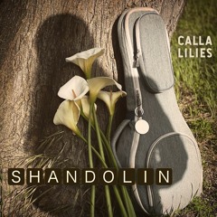 Lahaina Strong - Shandolin