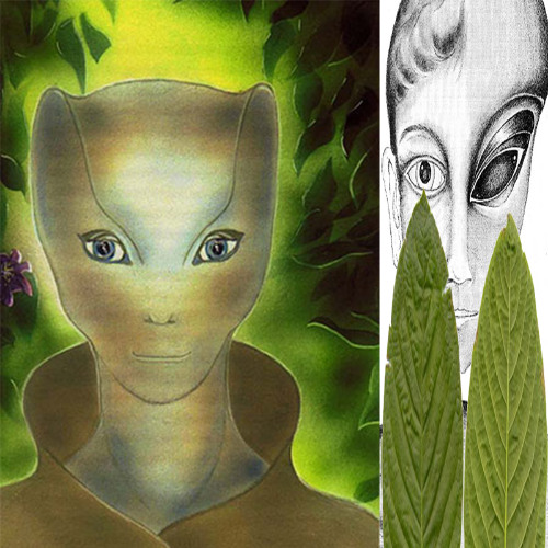 Kratom (feat. Mr. Trashpack)