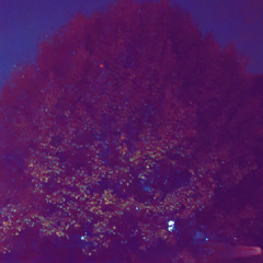 Algorithm(prod. nate22)